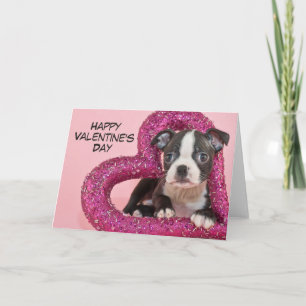 Getty Images   Welpe Liebe Feiertagskarte