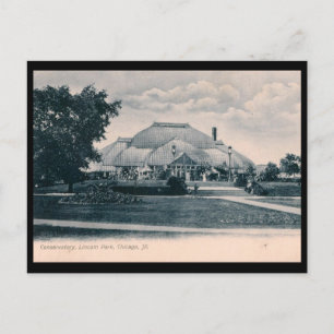 Gewächshaus, Lincoln Park, Chicago 1908 Vintage Postkarte