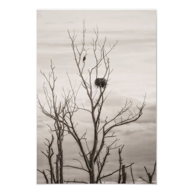 Gewartet Fotodruck (Vorne)