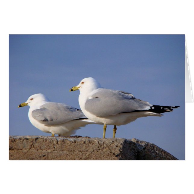 Gewartet für Abheben (Vorderseite (Horizontal))