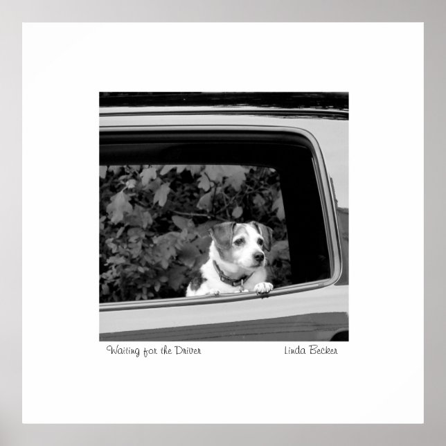 Gewartet für das Fahrerfoto von Linda Becker Poster (Vorne)