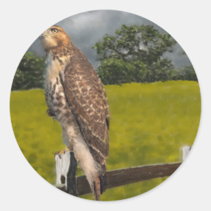 Gewartet für den Sturm - Roter Schwanz Hawk Runder Aufkleber