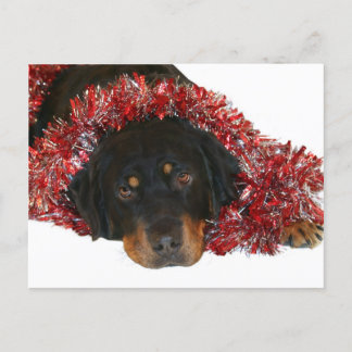 Gewartet für Santa Postcard Feiertagspostkarte