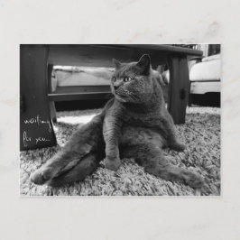 Gewartet für Sie - Postkarte