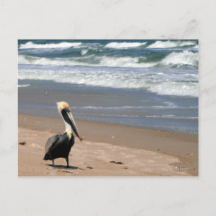 Gewartet Postkarte