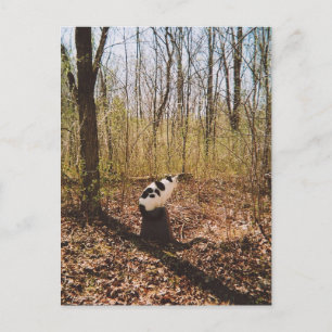 gewartet... postkarte