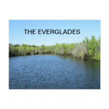 GEWÄSSER DER EVERGLADES