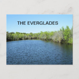 GEWÄSSER DER EVERGLADES POSTKARTE