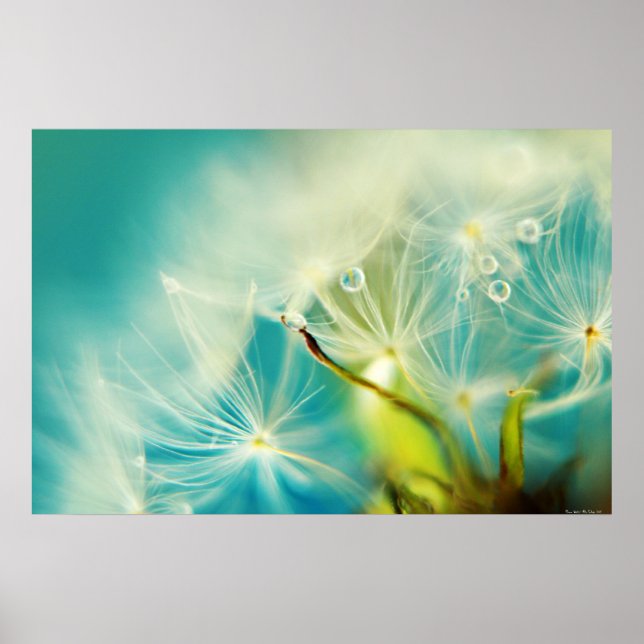 Gewässer Poster (Vorne)