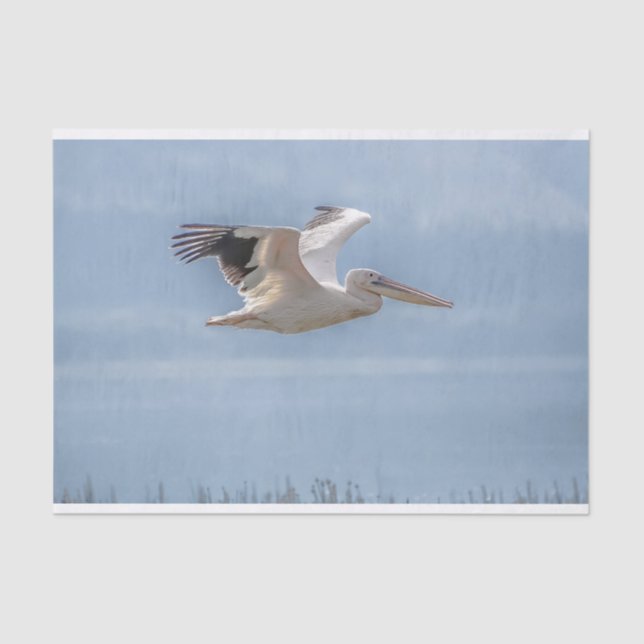 Gewebe mit Bild von Pelican im Flug Seidenpapier (Vorderseite)