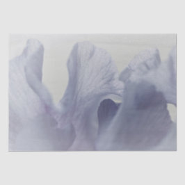 Gewebe. Papier (2) Set Soft Iris Petals in Lila