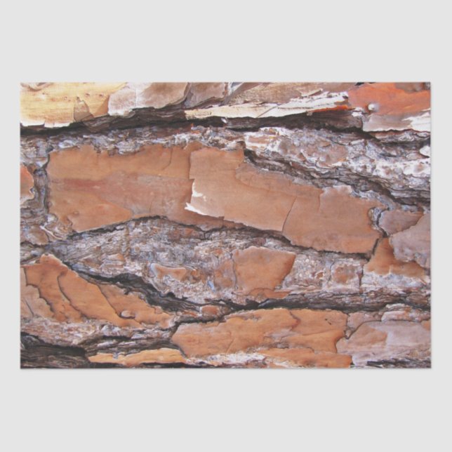 Gewebepapier - Kiefernrinde Seidenpapier (Vorderseite)