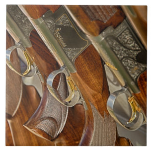 Gewehr-Sammlungs-Anzeige Fliese