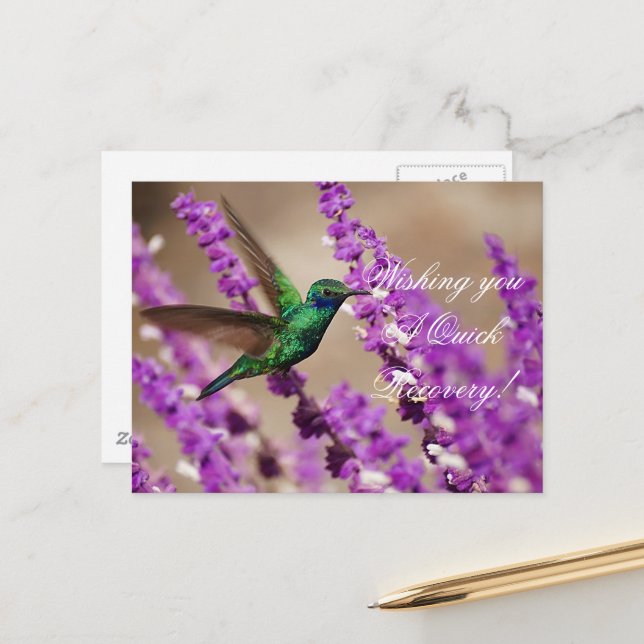 Geweihe des Glaubens Sparkling Violet Ohren Hummin Postkarte (Vorderseite/Rückseite Beispiel)