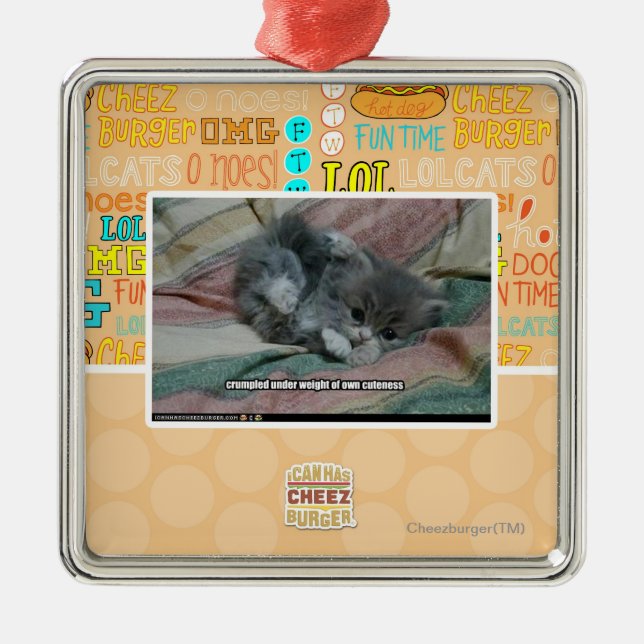 Gewicht eigener Niedlichkeit Silbernes Ornament (Vorne)