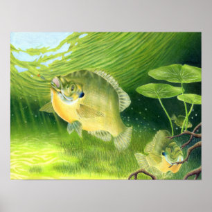 Gewinner des Kunstwerks von R. Nelson, Grad 7 Poster