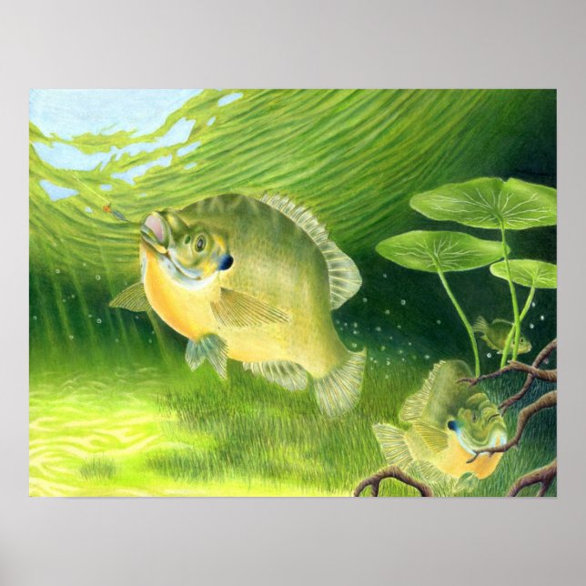 Gewinner des Kunstwerks von R. Nelson, Grad 7 Poster (Vorne)