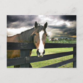 Gewitter Postkarte