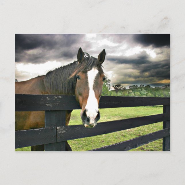 Gewitter Postkarte (Vorderseite)