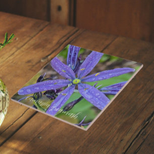 Gewöhnliche Blaue Camas-Blüten Fliese