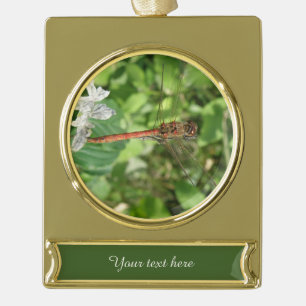 Gewöhnliche Darter Dragonfly-Ornament Banner-Ornament Gold