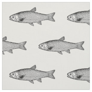 Gewöhnliche Fische, Farbhintergrundwahl Stoff