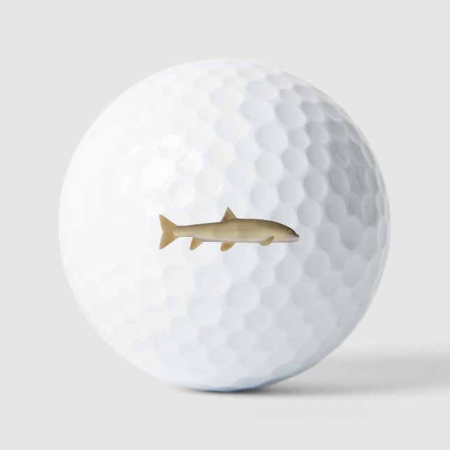 Gewöhnliche Schneebarbe Golfball (Vorderseite)