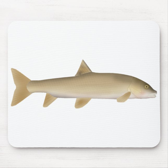 Gewöhnliche Schneebarbe Mousepad (Vorne)