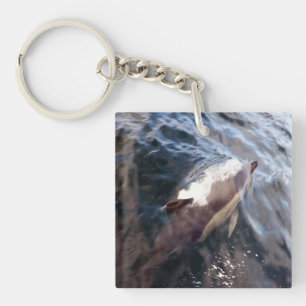 Gewöhnlicher Delfin Ozeanische Meeresfauna Schifff Schlüsselanhänger