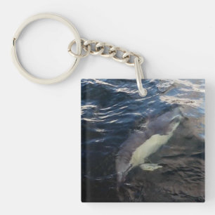 Gewöhnlicher Delfin Schwimmen Ozean Wildtiere Meer Schlüsselanhänger