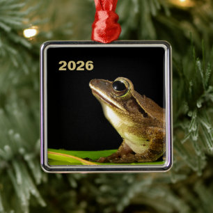 Gewöhnlicher Frosch auf einem Blatt Ornament Aus Metall