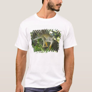 Gewöhnlicher Totenkopfaffe, (Saimiri sciureus), Ri T-Shirt