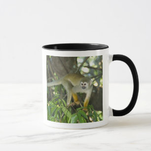 Gewöhnlicher Totenkopfaffe, (Saimiri sciureus), Ri Tasse