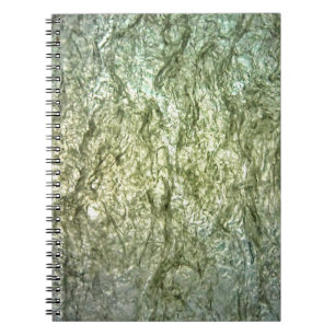 Gewöhnliches weißes Spiral-Foto-Notizbuch mit Text Notizblock
