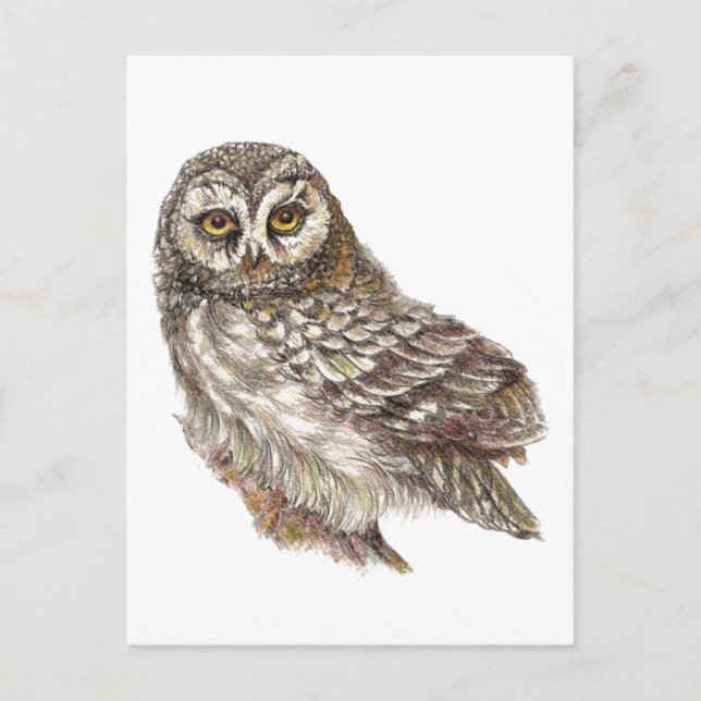 Gewohnte Wasserfarbe, Vögel, Natur, Wildtiere Postkarte (Vorderseite)