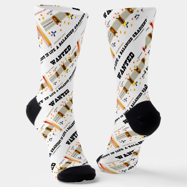 Gewollt ausgeglichener Lebendstrom (Na-K-Pumpe) Socken (Gewinkelt)