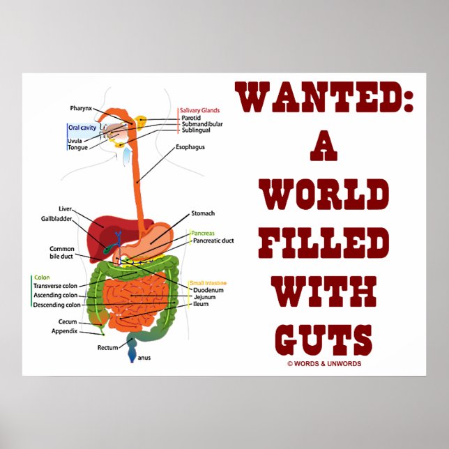 Gewollt: Eine Welt voll von Wölfen (anatomische Wa Poster (Vorne)
