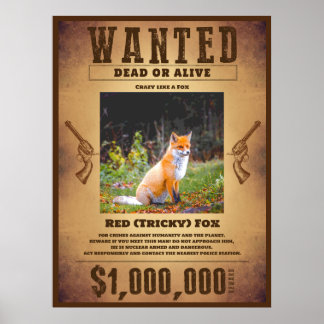 Gewollt Poster
