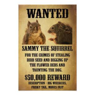 Gewollt Poster mit Eichhörnchen