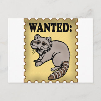 Gewollt Raccoon Postkarte