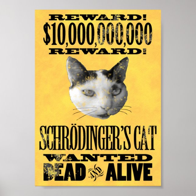 GEWOLLT: SCHRODINGER's CAT-Plakat Poster (Vorne)