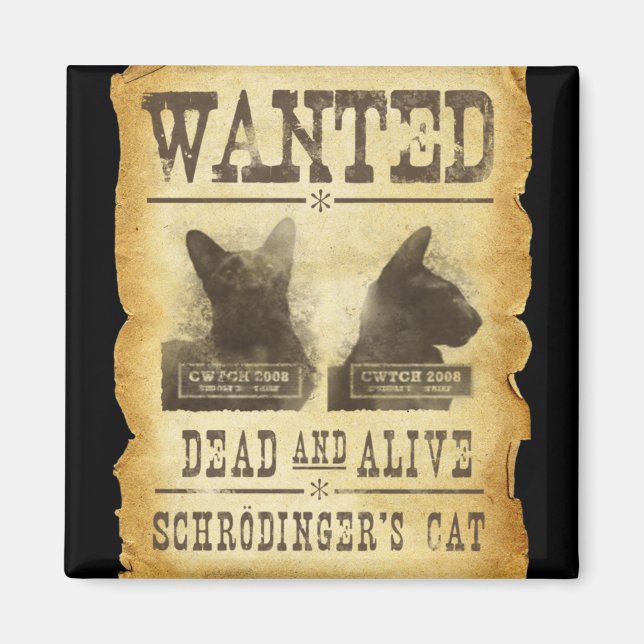 Gewollt tot und lebendig. Schröder Katze. Magnet (Vorne)