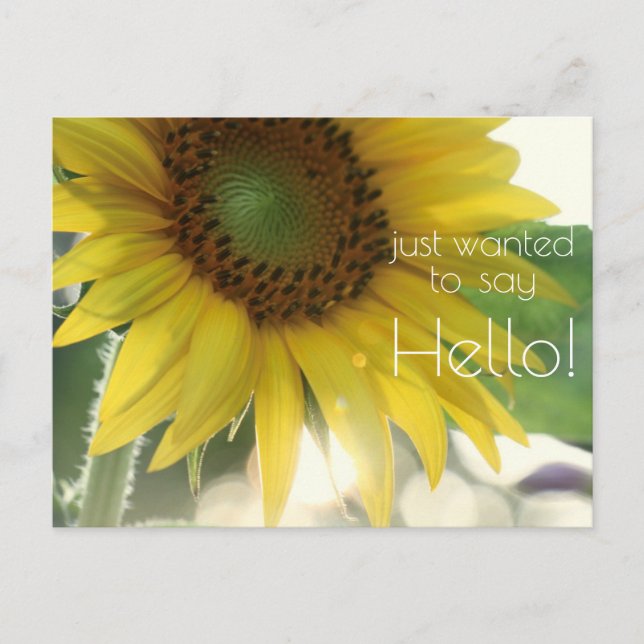 "Gewollt, um Hallo zu sagen!" Helle Sonnenblume Postkarte (Vorderseite)