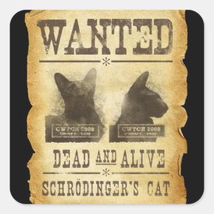 Gewollte Tote und lebendig.  Schroedingers Katze Quadratischer Aufkleber