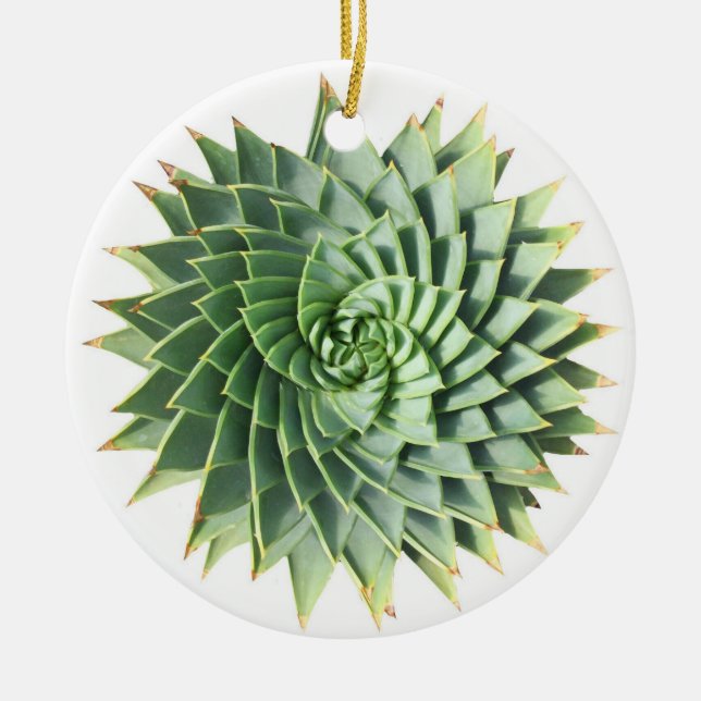 Gewundene Aloesucculent-Verzierung Keramik Ornament (Vorne)