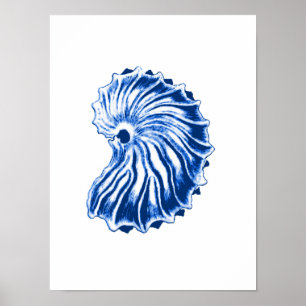 Gewundene Muschel, Indigo-Blau und Weiß Poster