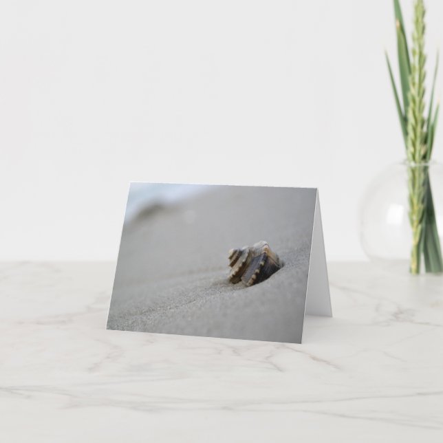Gewundene Seashell-Strand-Anmerkungs-Karte Karte (Vorderseite)