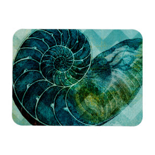 Gewundene Türkis-Tritonshorn-Muschel Magnet