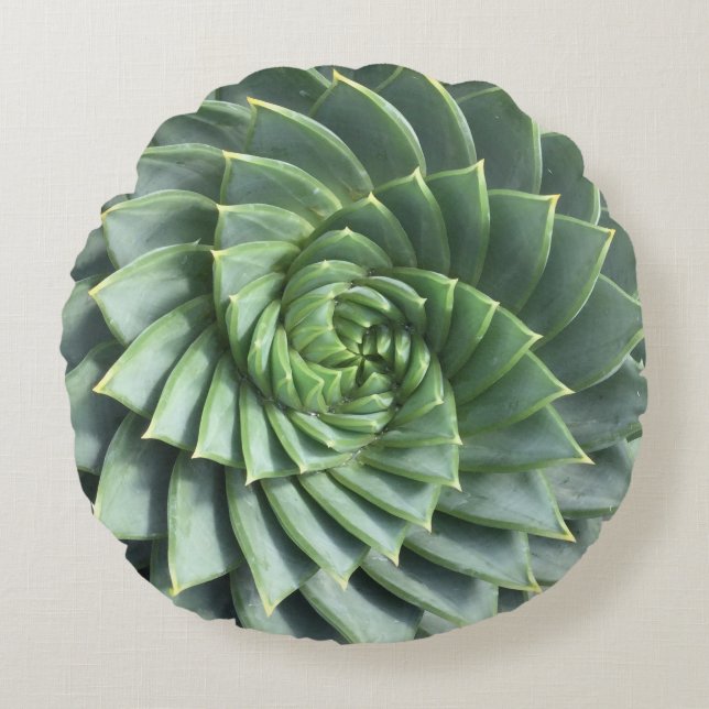 Gewundener Aloe Polyphylla Succulent Rundes Kissen (Vorderseite)