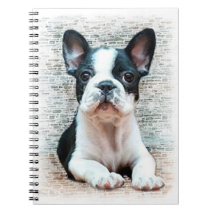 Gewundenes Notizbuch der französischen Bulldogge Notizblock